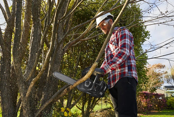 chainsaw alpina